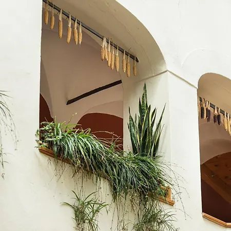 Ξενοδοχείο Prunner 3*